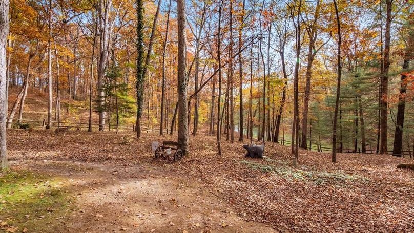 58-z 46585 Morning Star105-2