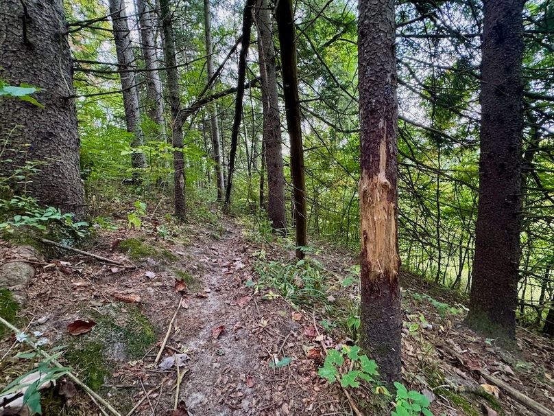 Richland 199Ground - 71