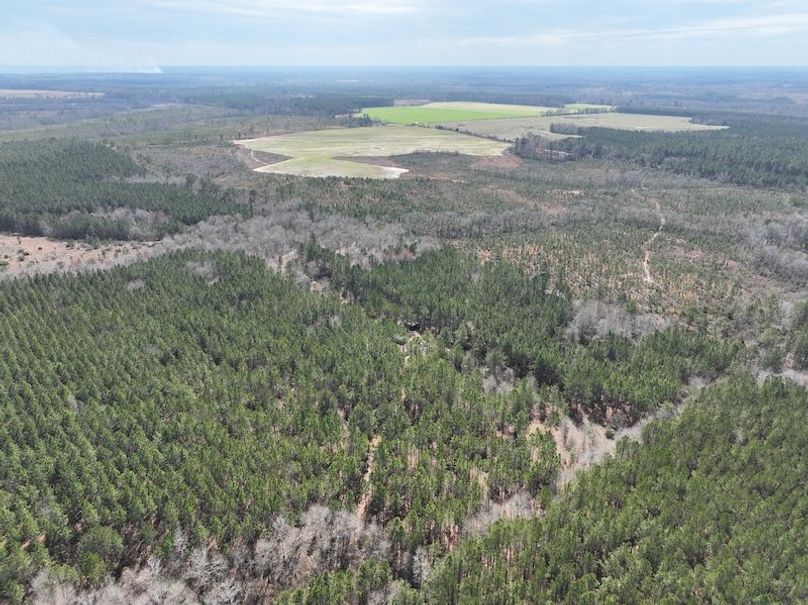 dji_fly_20240227_124838_142_1709056271675_photo