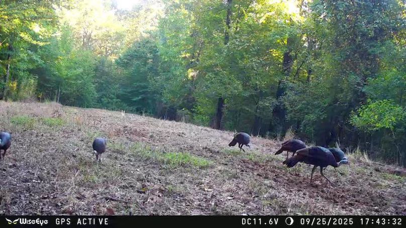 Claiborne Co - 274 - Marian-026