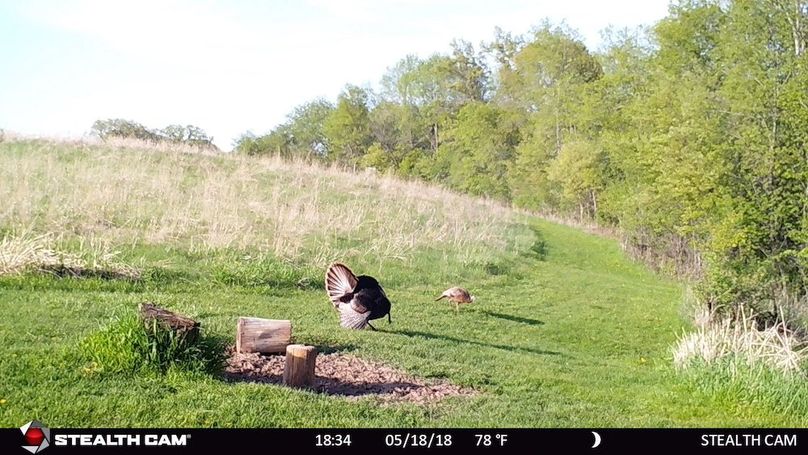 Turkeys-DESKTOP-AVPA6G7