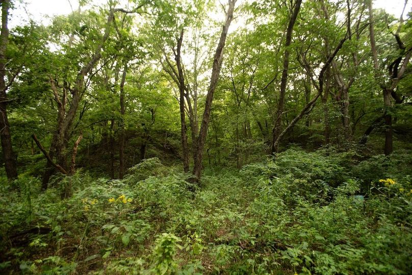 FREMONT CO IA 159.05_57