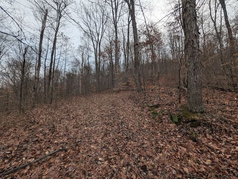 PXL_20260107_212919698.MP