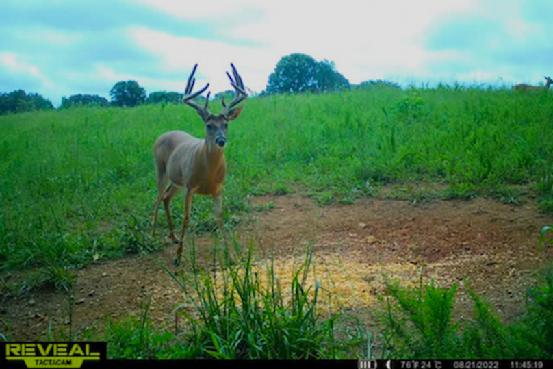 trail cam14