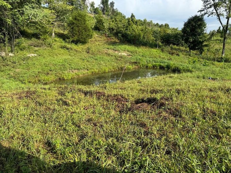 Breckinridge 31.6 13