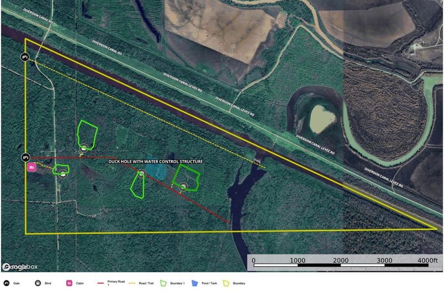 Catahoula_501_Aerial