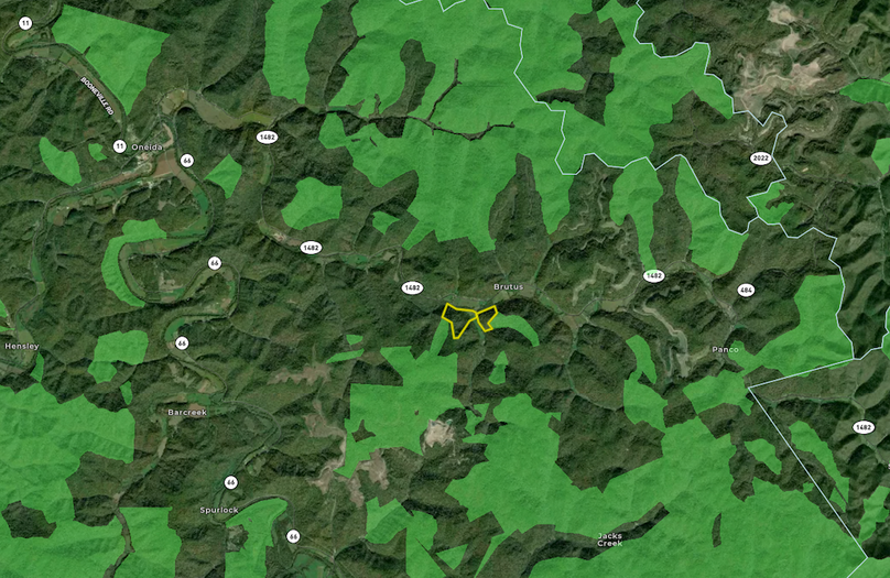 041 Clay 65 Land ID map zoomed out showing all the National Forest surrounding the property