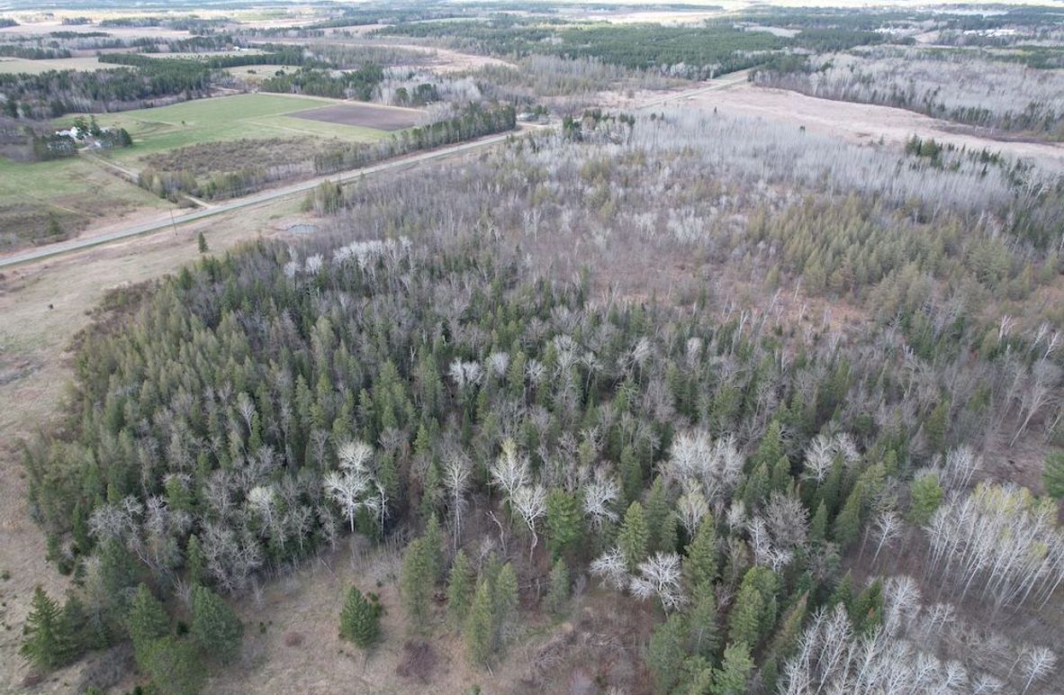 dji_fly_20260509_184710_284_1778370759985_photo