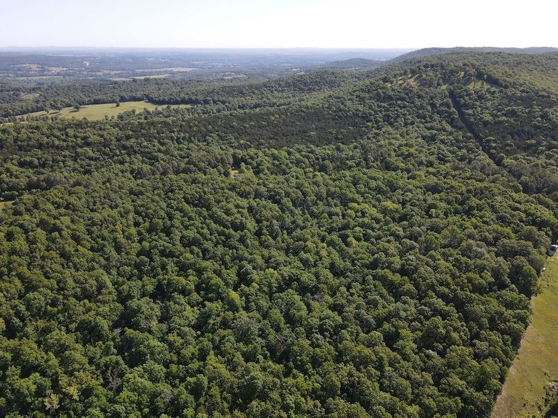 dji_fly_20260514_092818_779_1778769053585_photo