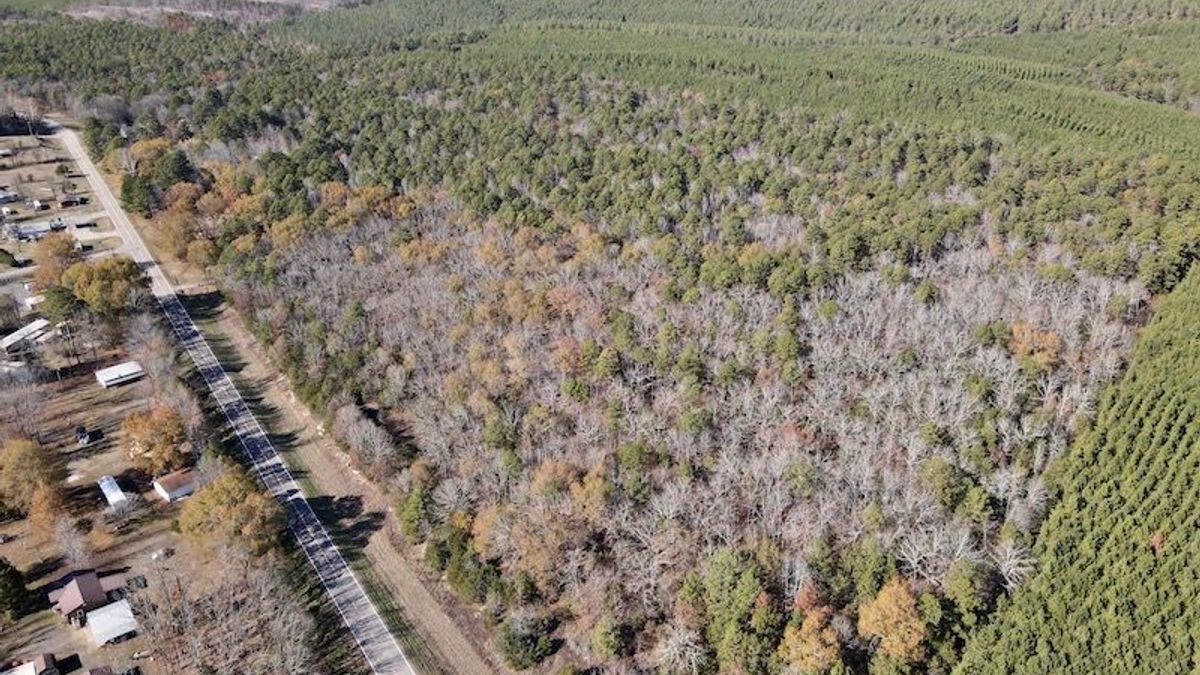 Beautiful HWY Frontage Near Nimrod Lake Whitetail Properties