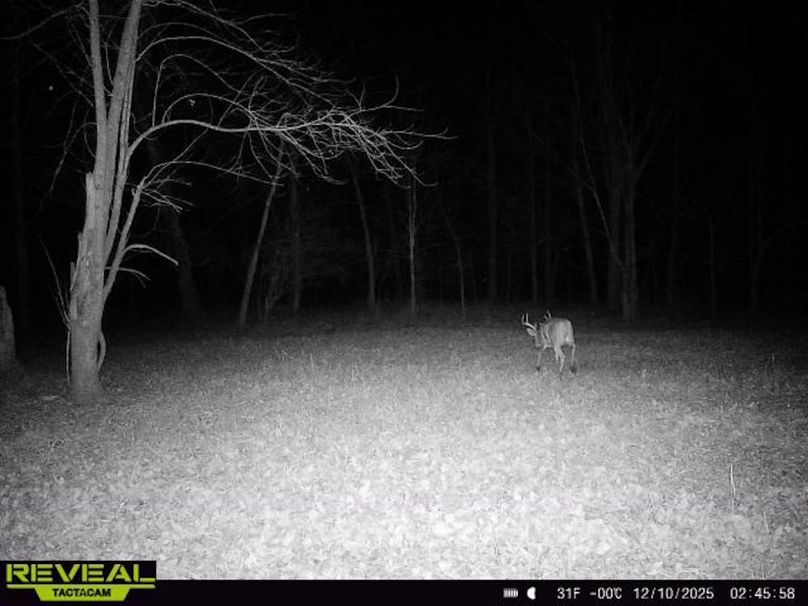 865814041999945-100-2-12102025024558-W1000712