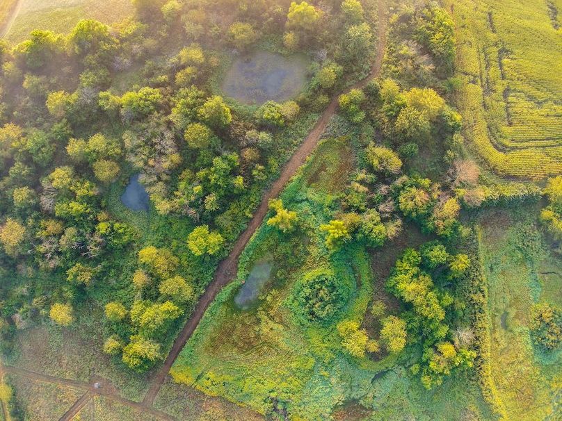 DJI_20250906073428_0043_D