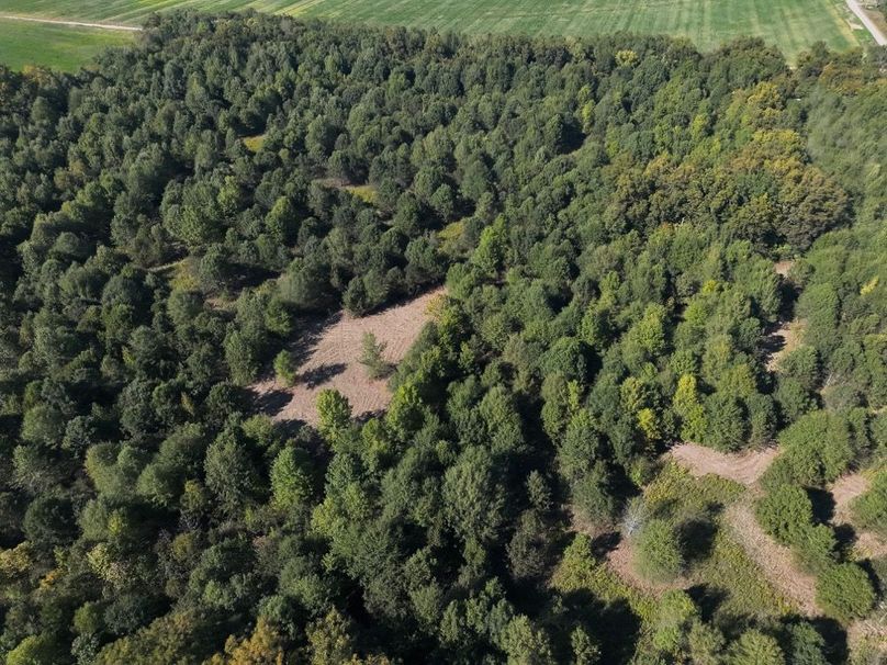 DJI_20251016150524_0051_V