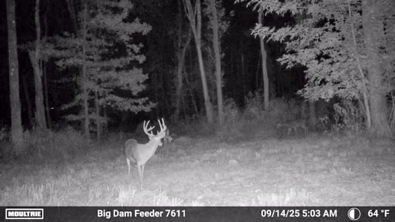 Tallahatchie 847 Trail Cam (JPG)-22
