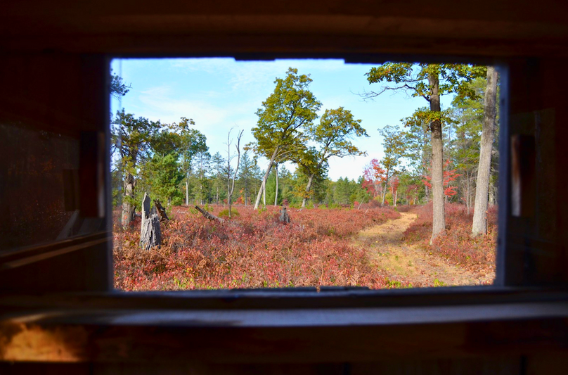 Screenshot 2025-11-14 at 11.07.37 AM