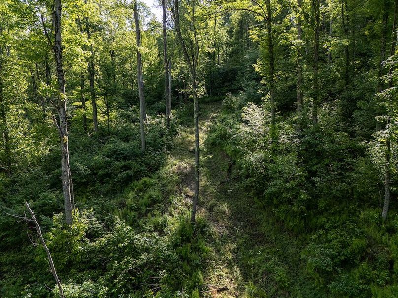 DJI_20250524070728_0361_D