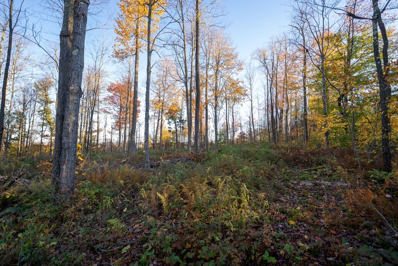 Elk PA 7000 Feature_Pro Photo-154