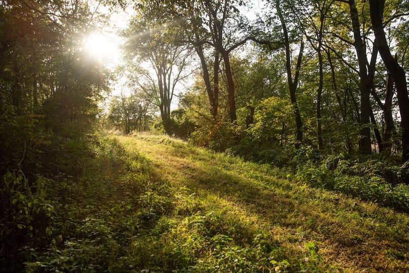 Copy of POTTAWATTAMIE CO IA 311 TRACT 3_8