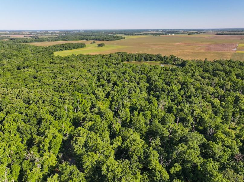 DJI_20260511082119_0068_D