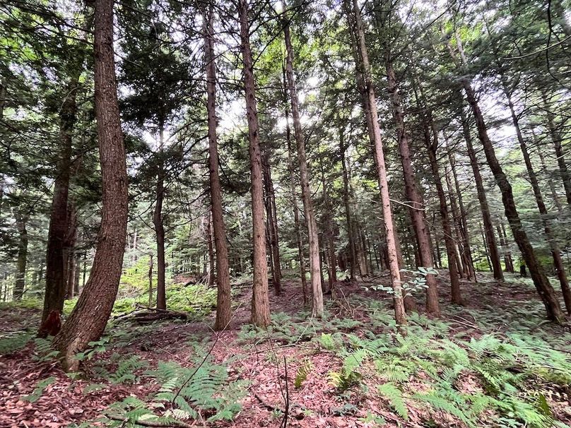 Oswego_133.72_Middleton_Photos_37