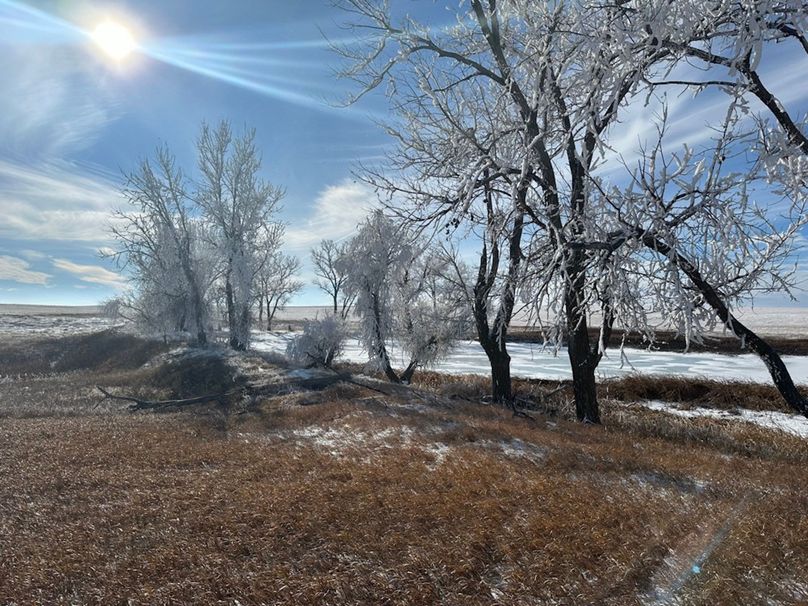 72159C0F-8528-43CB-9817-D97B1914078C_1_105_c