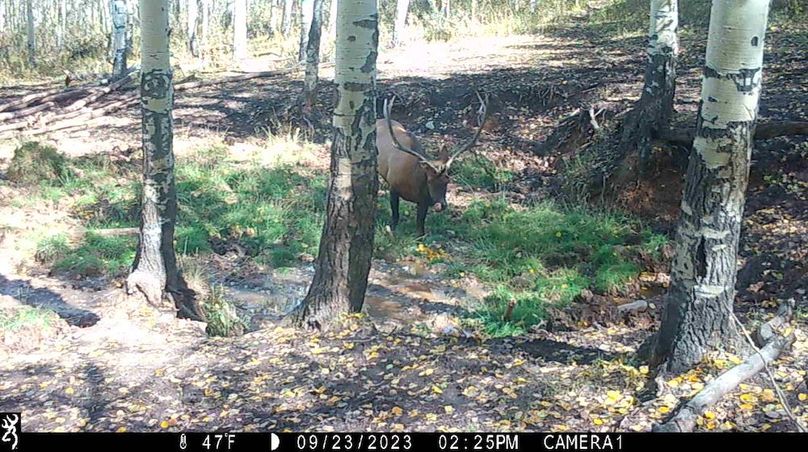 IMG_0063 (2) - frame at 0m0s