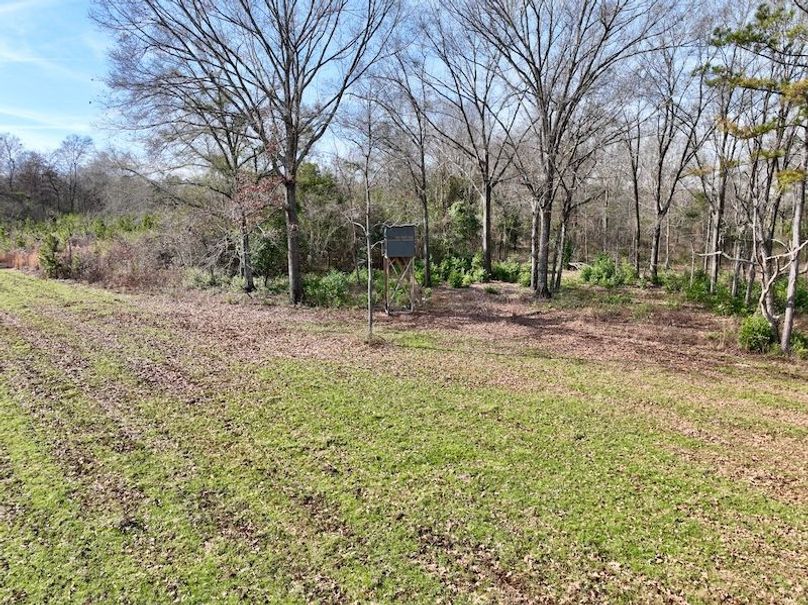 dji_fly_20260120_112752_197_1768926572811_photo