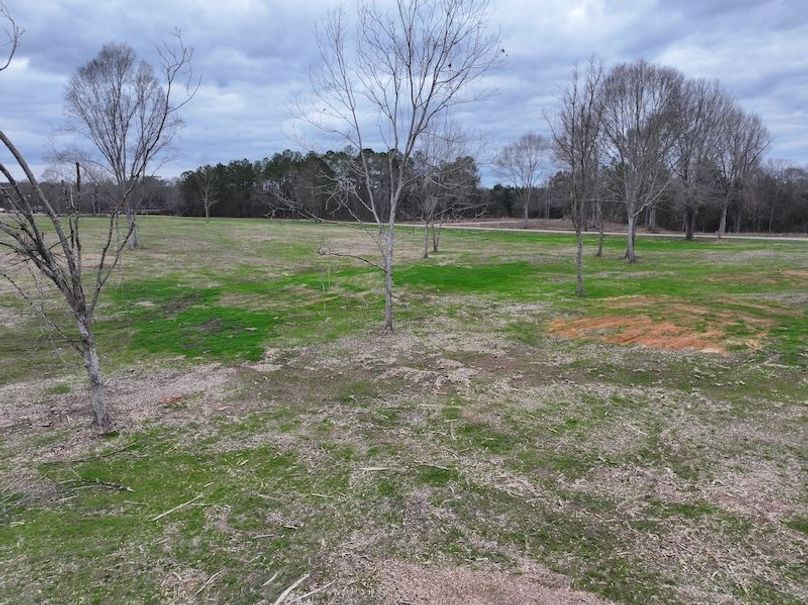 Copy of dji_fly_20260217_143838_0155_1771436903927_photo