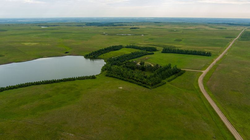 28 overview of building site and shelter belts