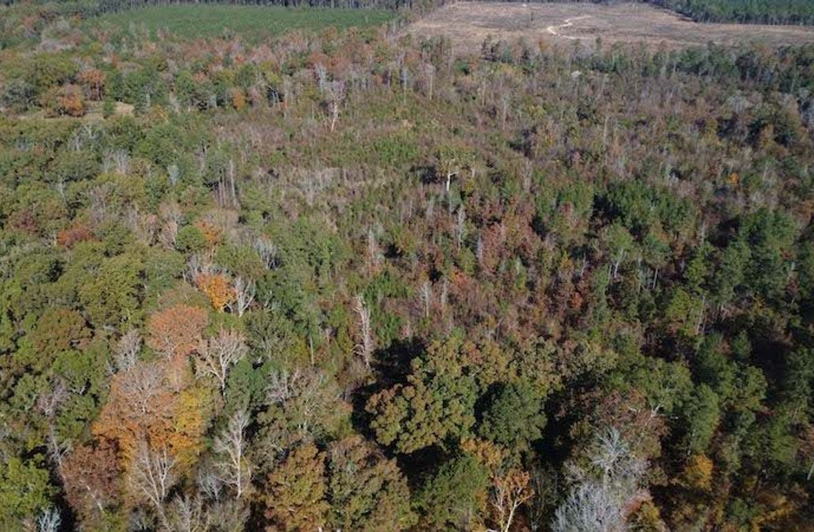 Jeff 11720251111_0186