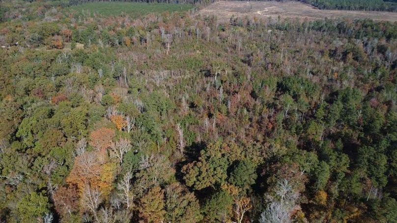 Jeff 11720251111_0186