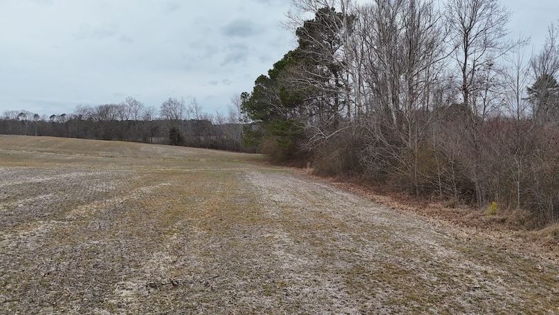 dji_fly_20260218_164430_0027_1771452057690_photo