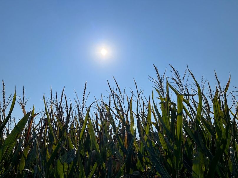 Yates_29_Stape Photo 27