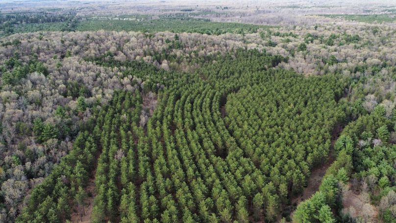 dji_fly_20230509_171714_406_1683724322227_photo_optimized