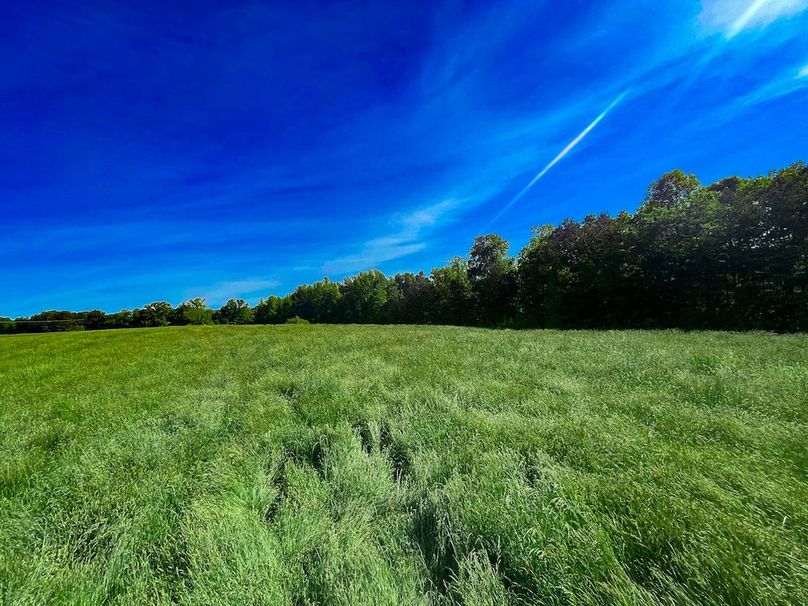 Haralson GA 100 McIntyre-17