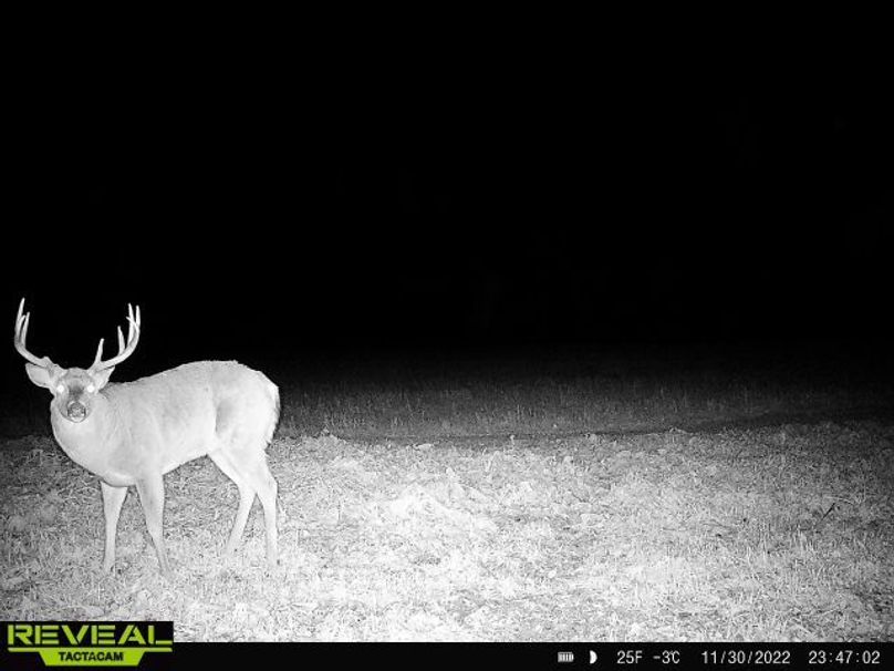 865814048775314-100-4-11302022234702-W1000124