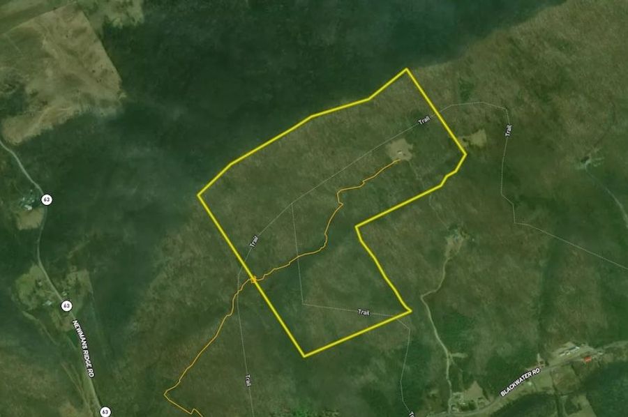 aerial1