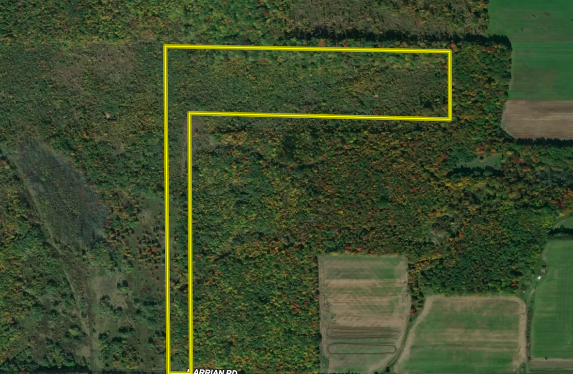 Screen Shot 2023-11-06 at 11.20.36 AM