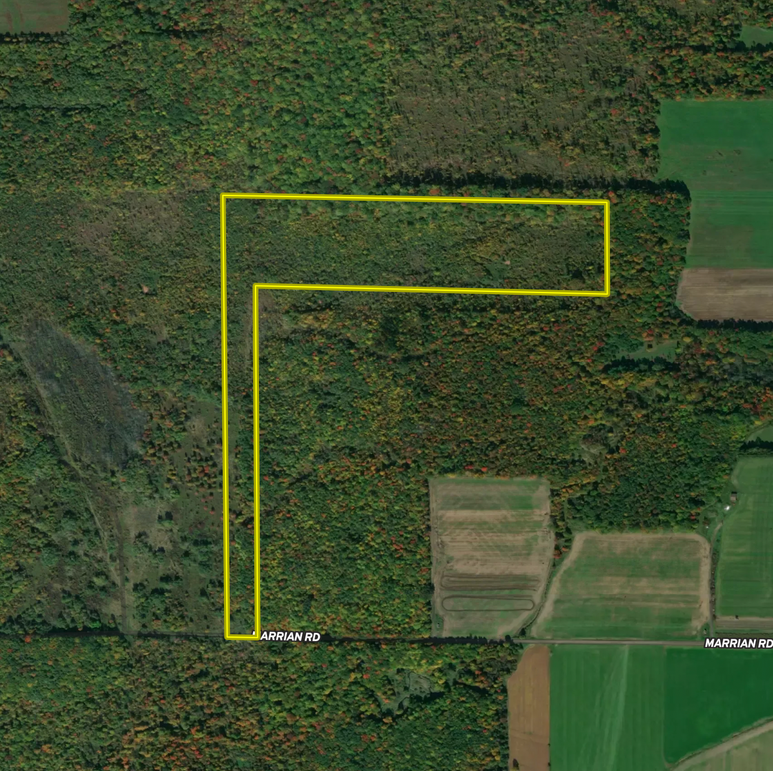 Screen Shot 2023-11-06 at 11.20.36 AM