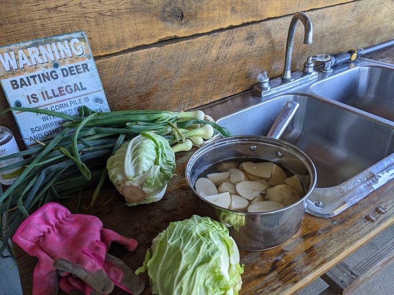 PXL_20210605_213039153