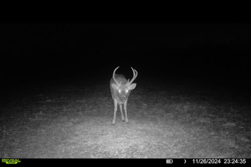 trail cam4