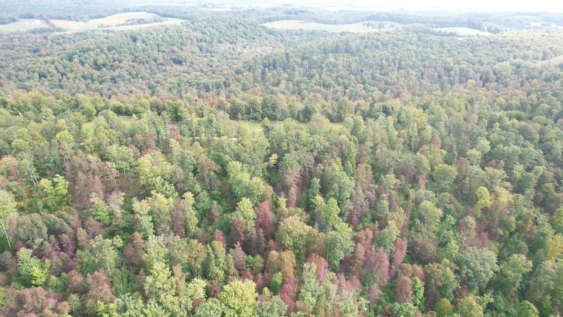 dji_fly_20240919_101112_691_1726755214707_photo