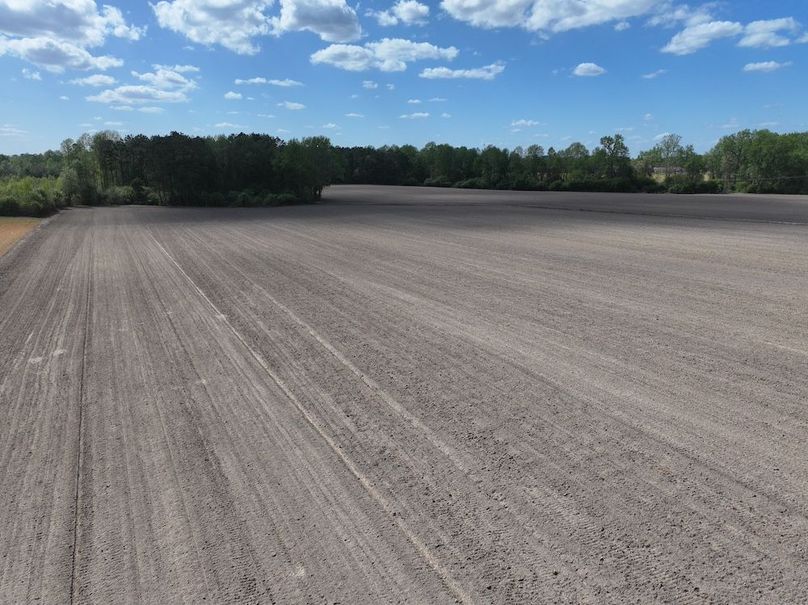 dji_fly_20260315_120804_0524_1775758694053_photo