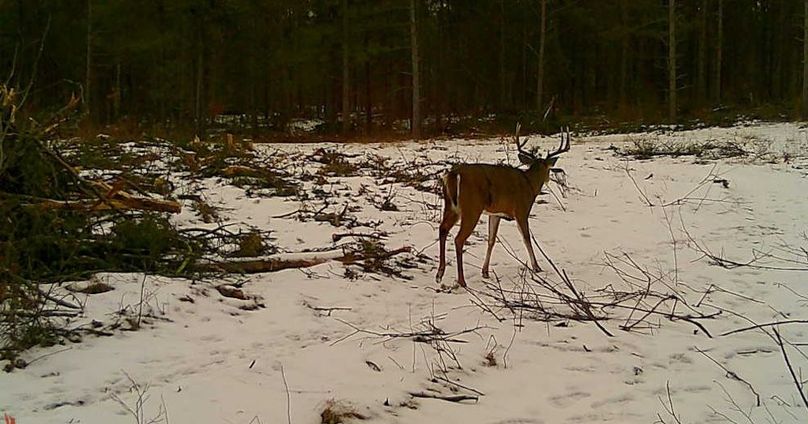 24121616033801001368 (1)