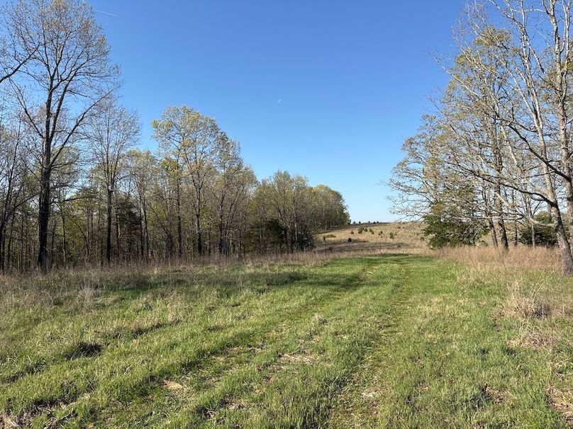 DJI_20260409_090346_003