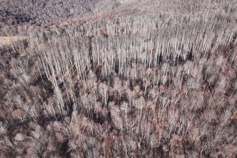 DJI_20241127034108_0785_D