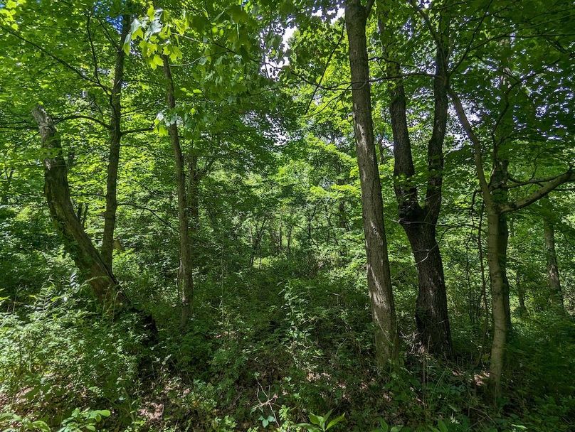 PXL_20240607_184439619