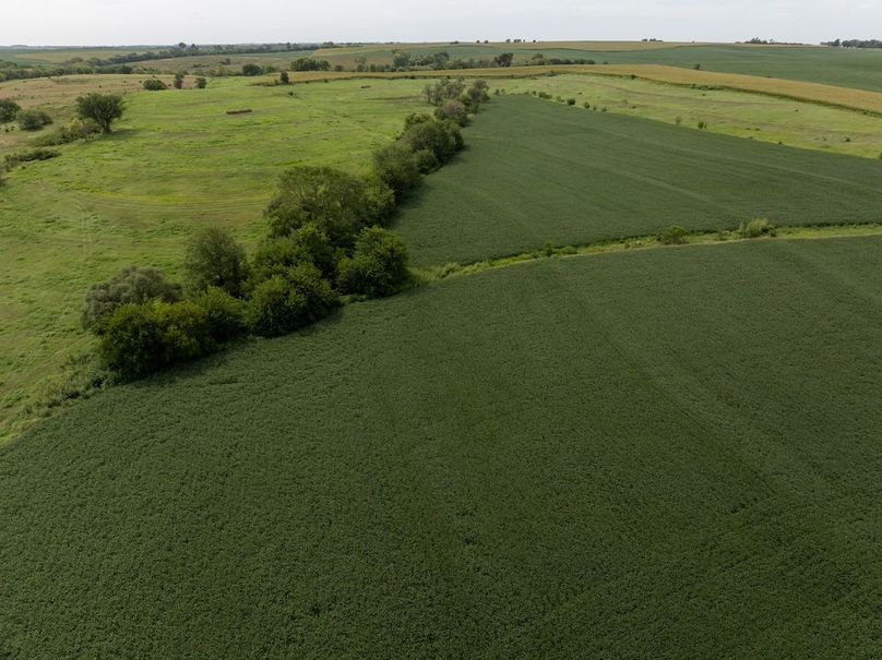 Copy of DJI_20250827113157_0041_D