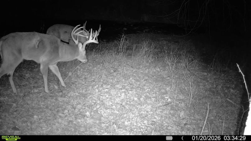 016579007722387-94-2-01202026033429-V-SYFW06712