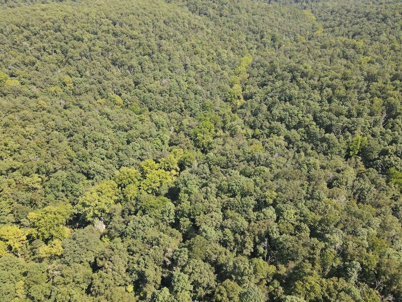 dji_fly_20250818_150602_657_1755547578348_photo